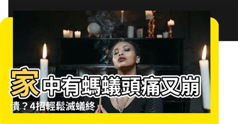 家中有螞蟻如何處理|【滅蟻方法】屋企有蟻？教你2步輕鬆滅蟻＋防蟻方法！ 